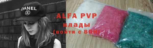 хмурый Белокуриха