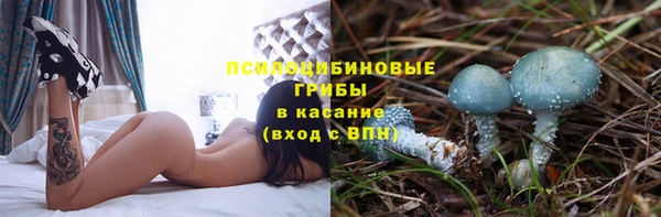 первитин Богородск