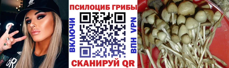 Псилоцибиновые грибы мицелий  Купить  Талица 